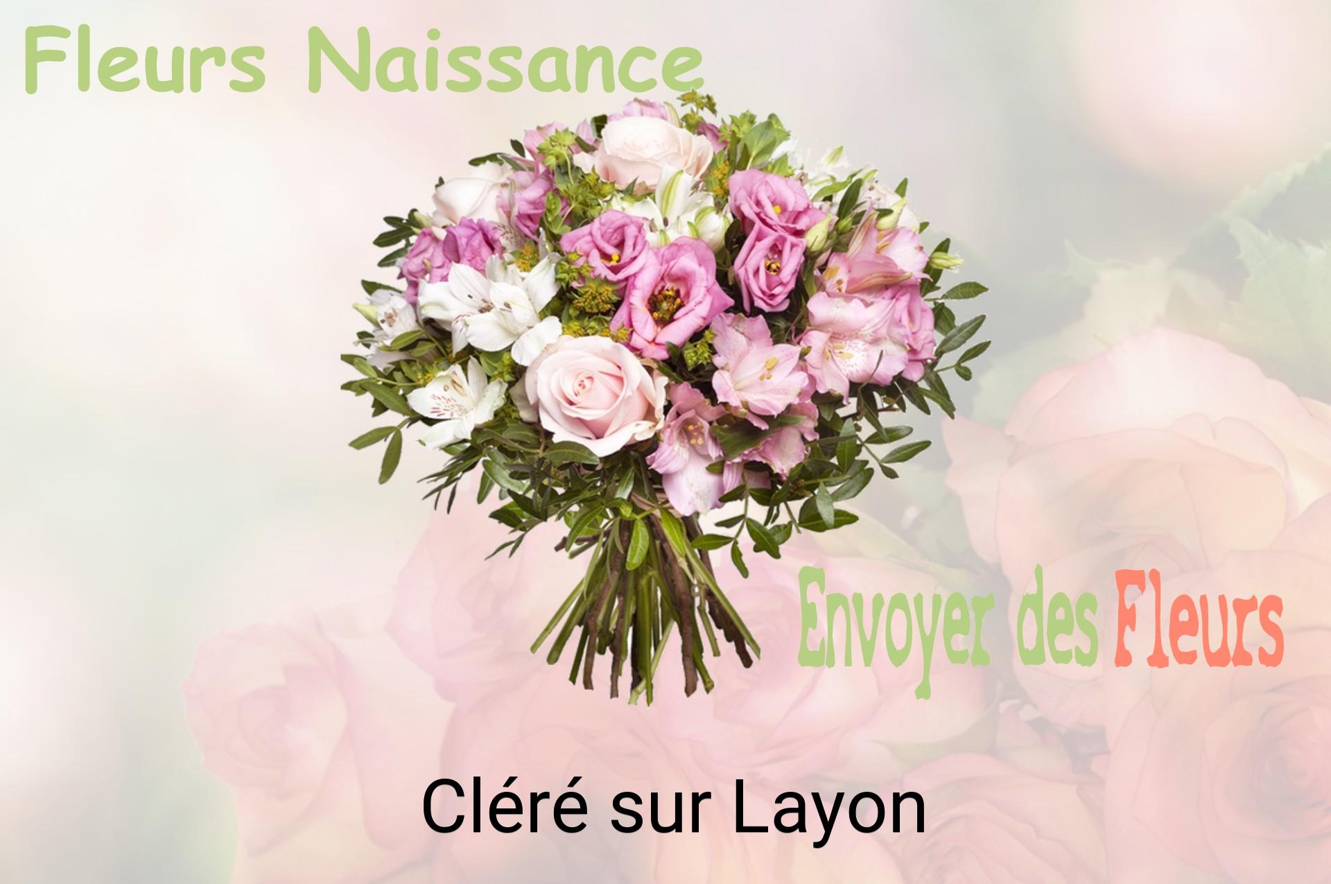 Bouquet de fleurs de naissance livré à Cléré-sur-Layon
