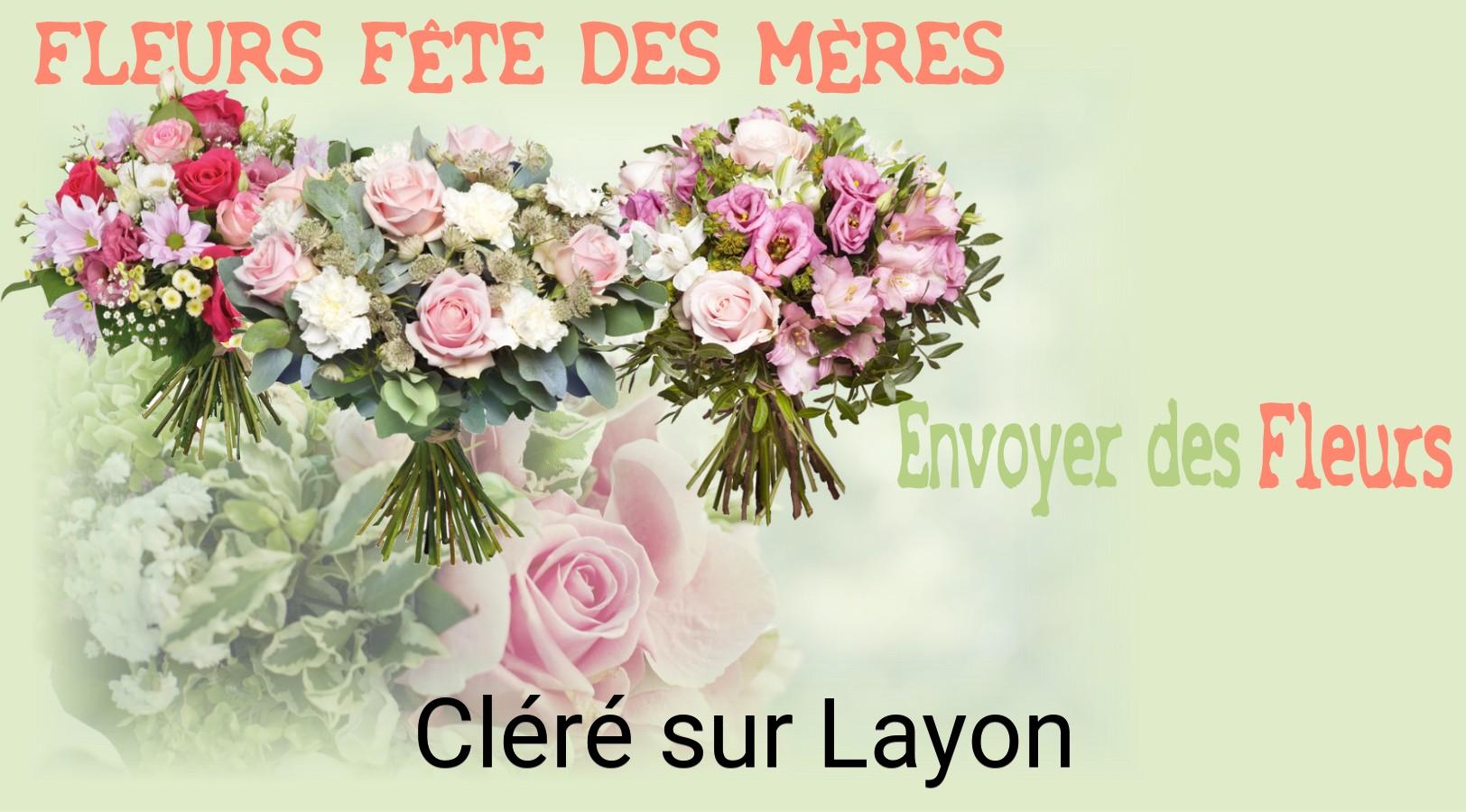 Bouquet de Fête des Mères livré à Cléré-sur-Layon
